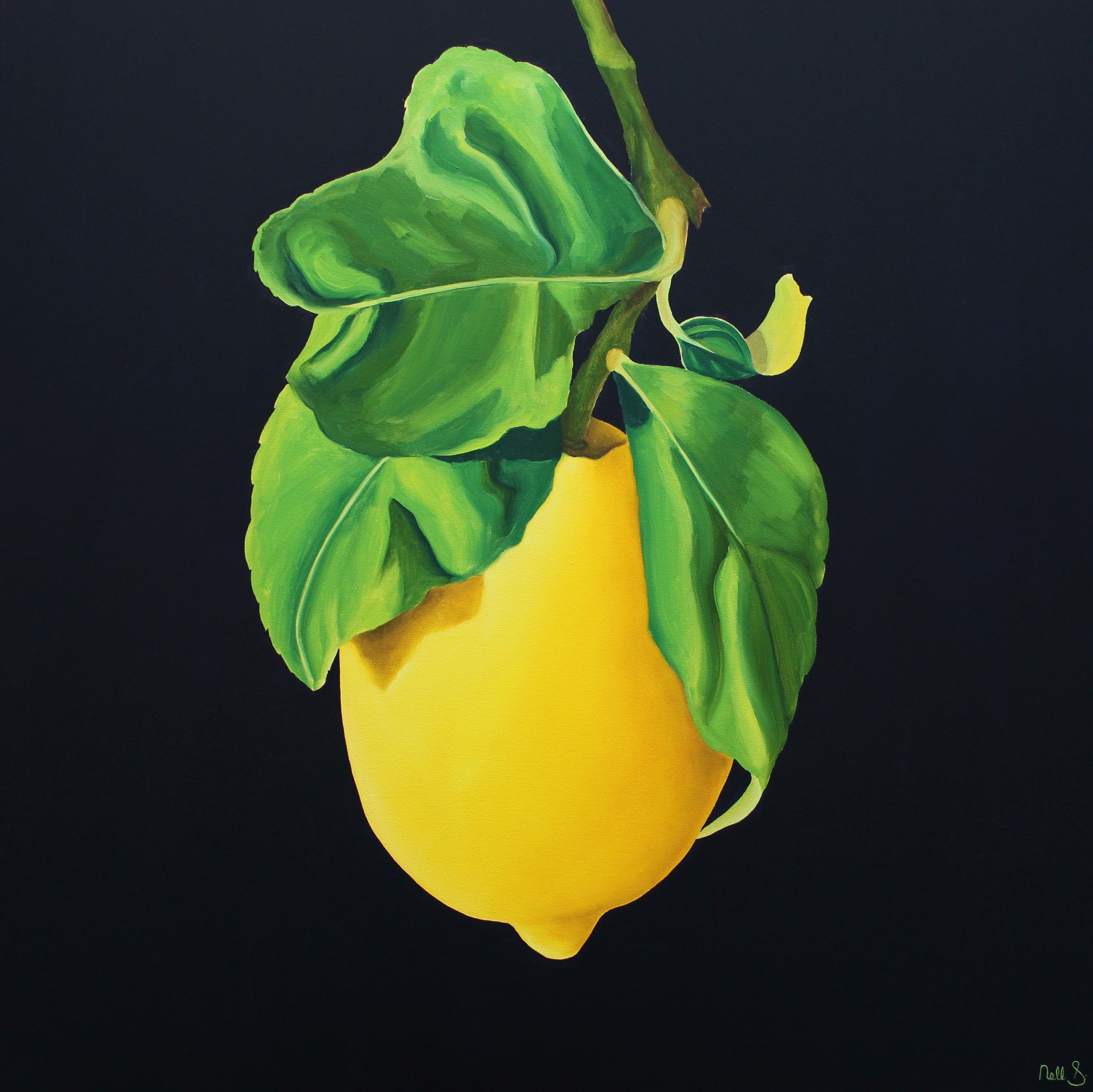 Nell Symonds - Kamie