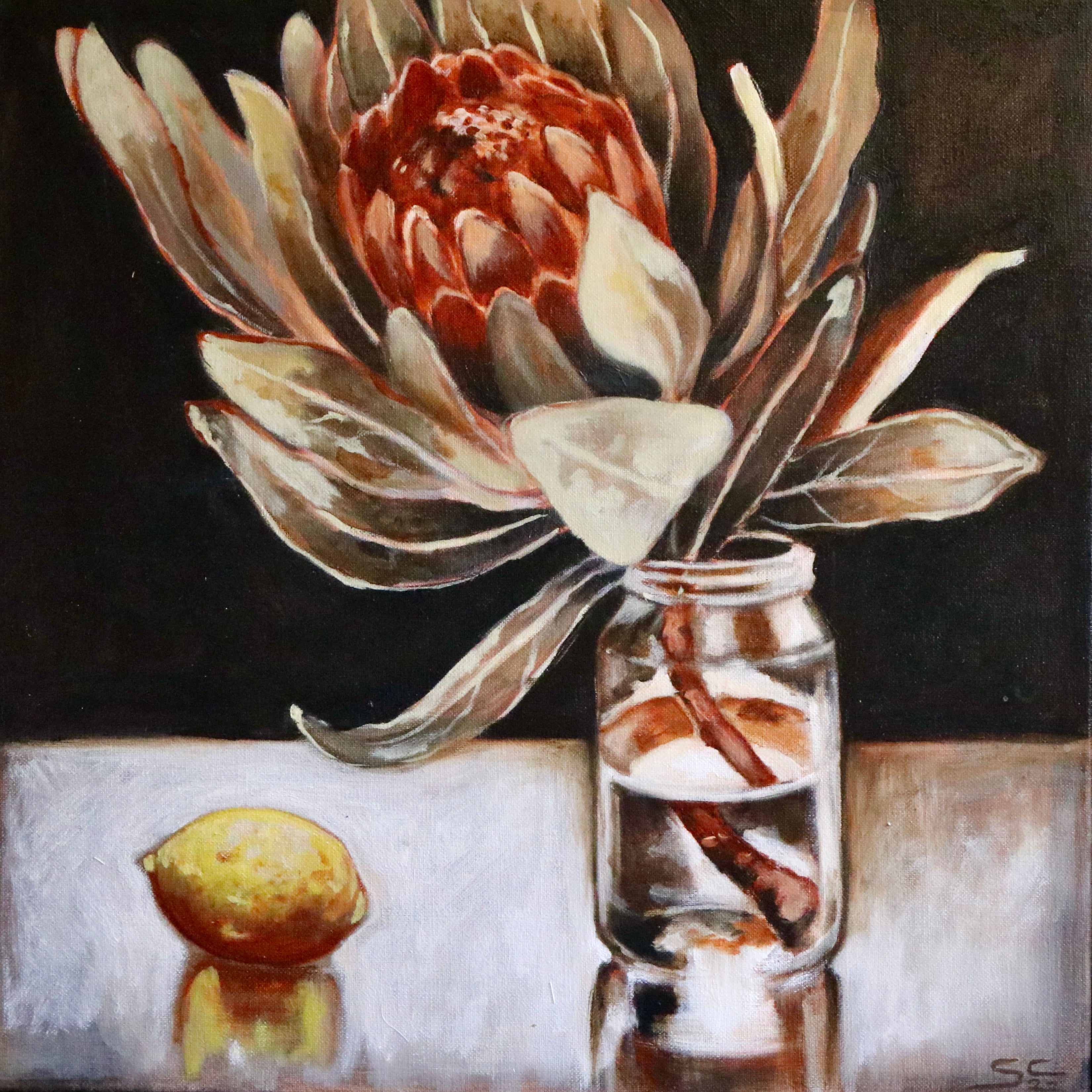Susannah Collins - Protea; Citrus