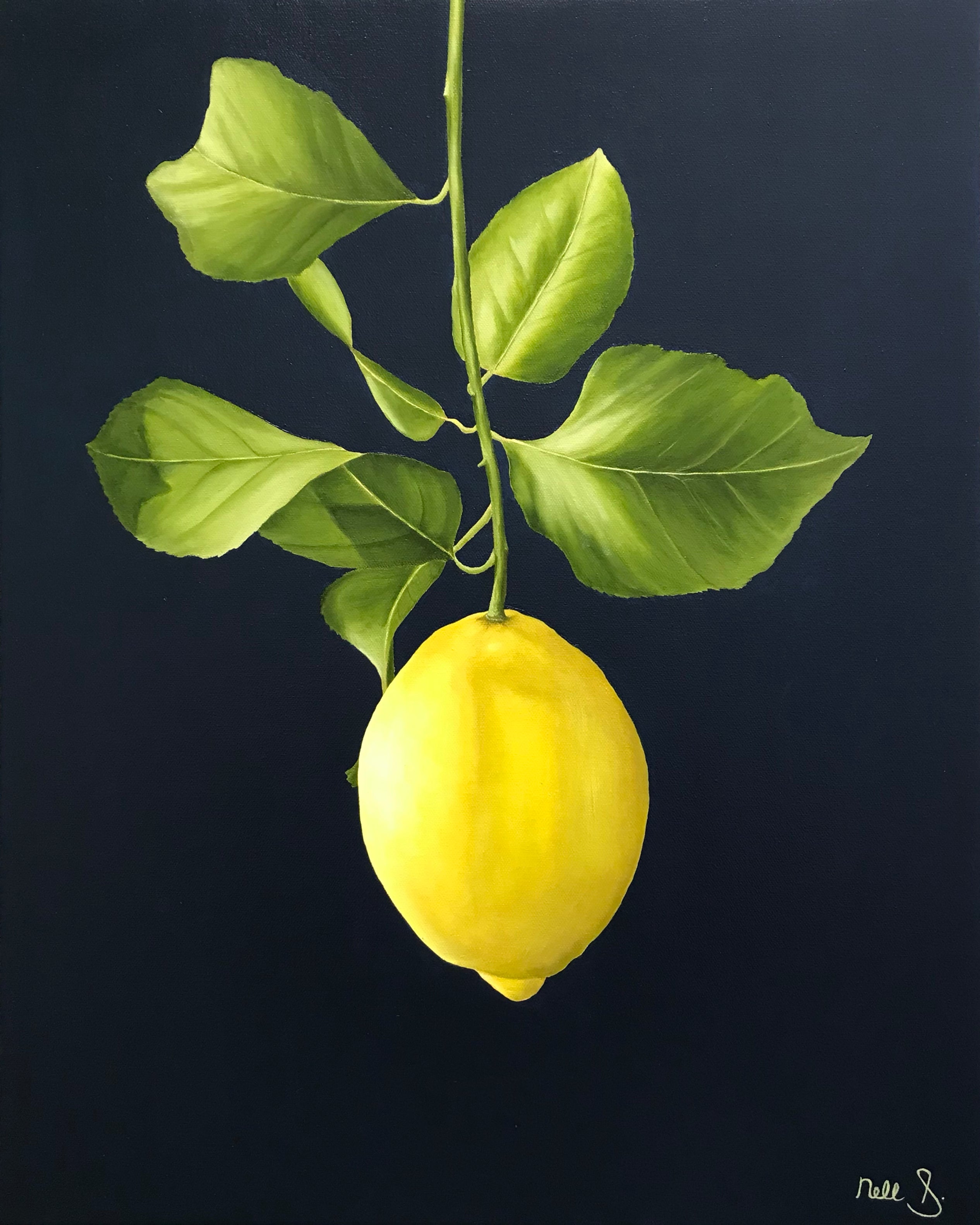 Nell Symonds - Lautrec