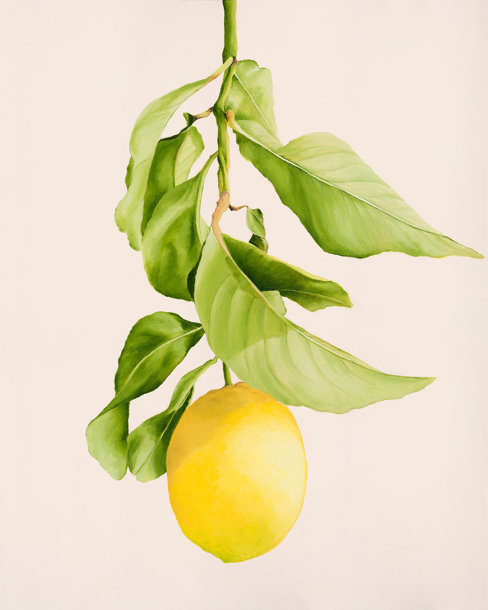 Nell Symonds - Lorient