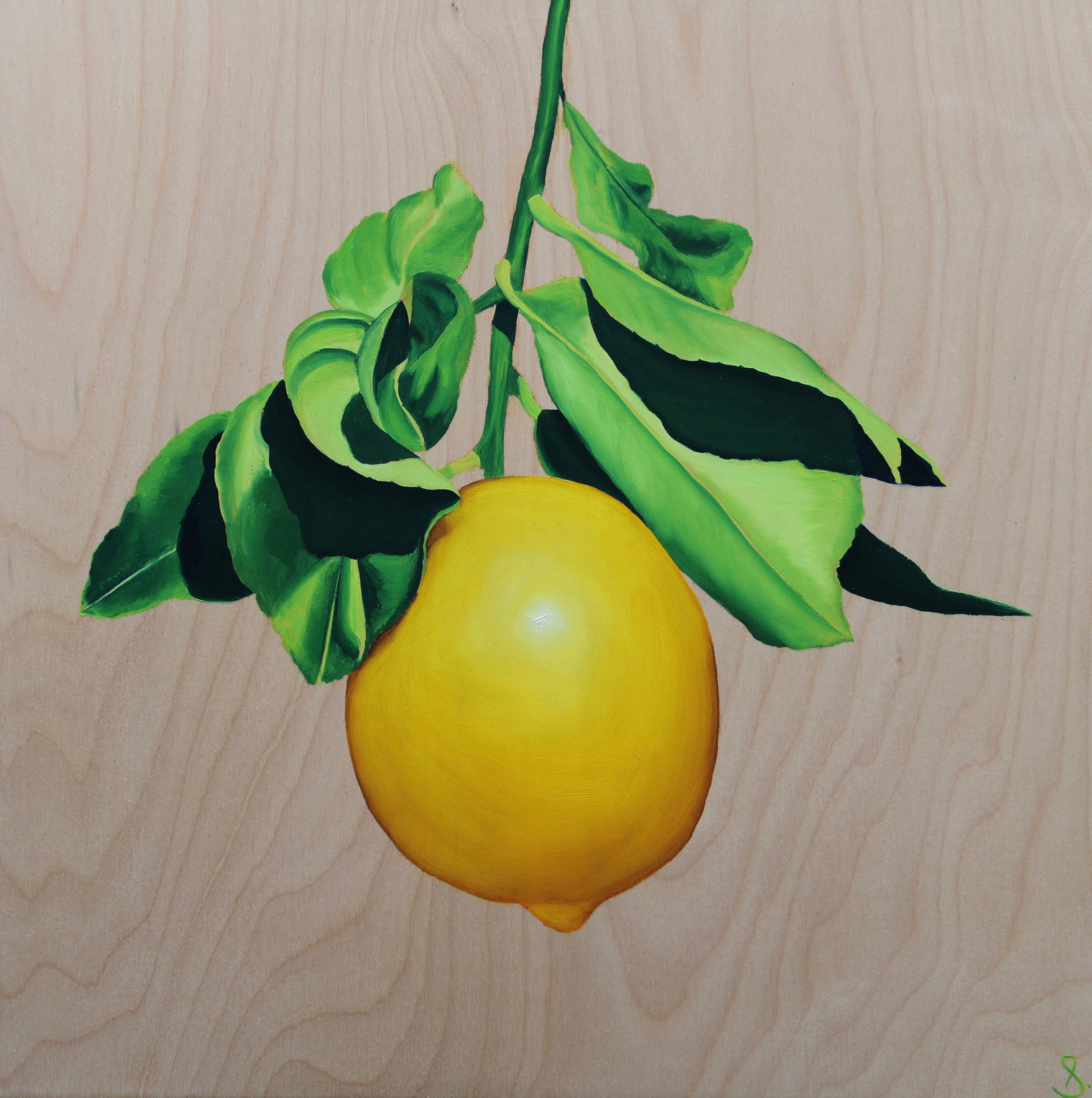 Nell Symonds - Allegra