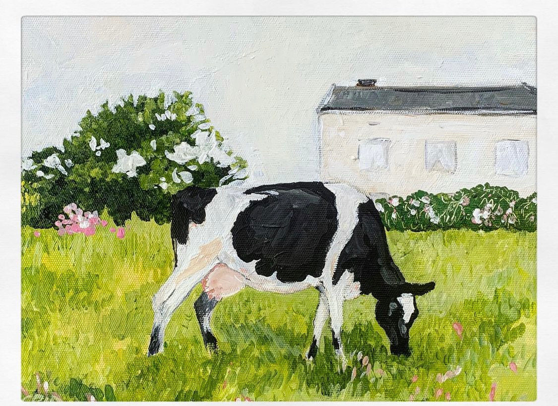 Ingrid Haughton - Dairy cow in field. Valued at $250