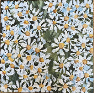 Georgie Elliott - Little Seascape Daisies 2