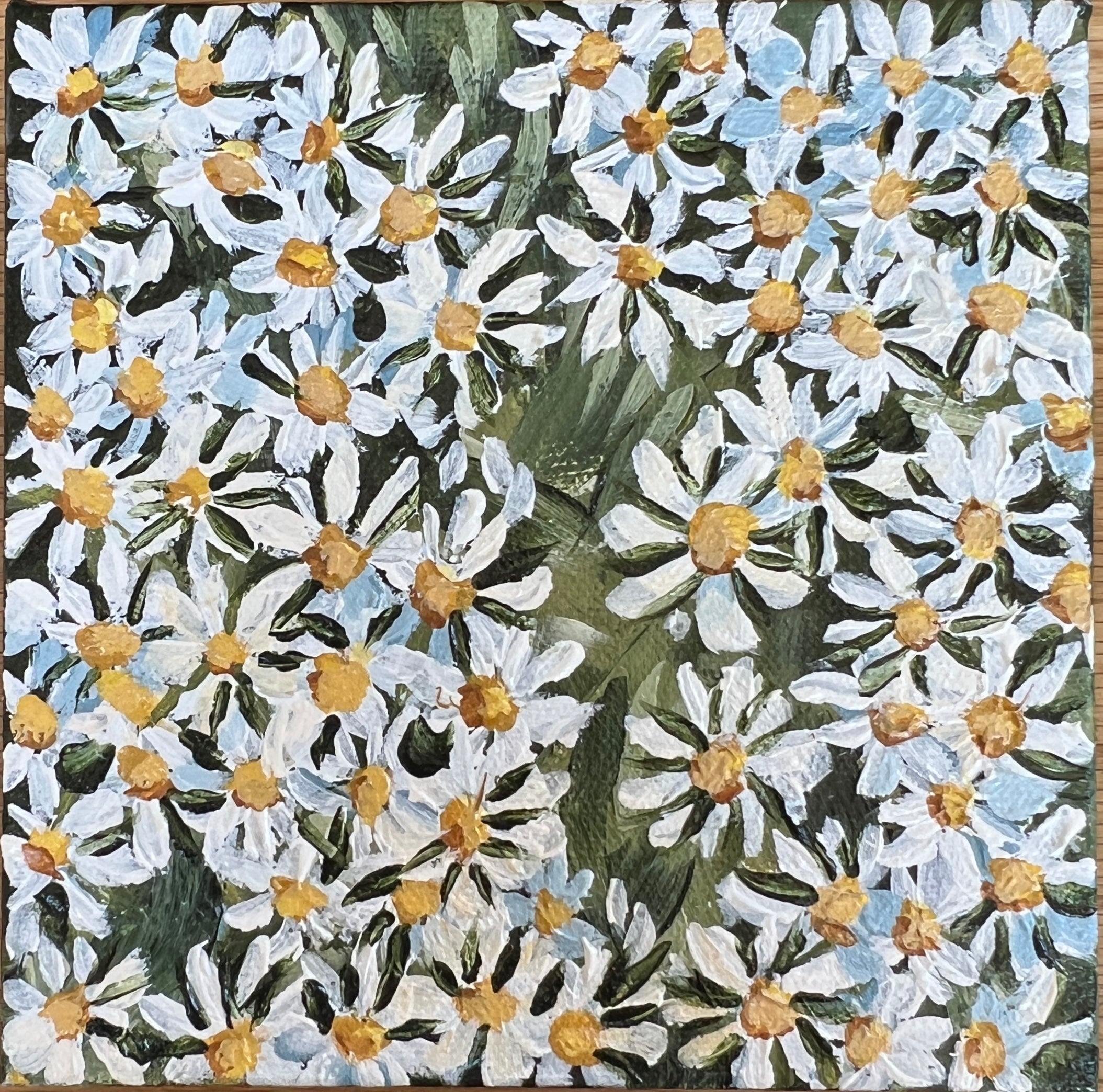 Georgie Elliott - Little Seascape Daisies 2