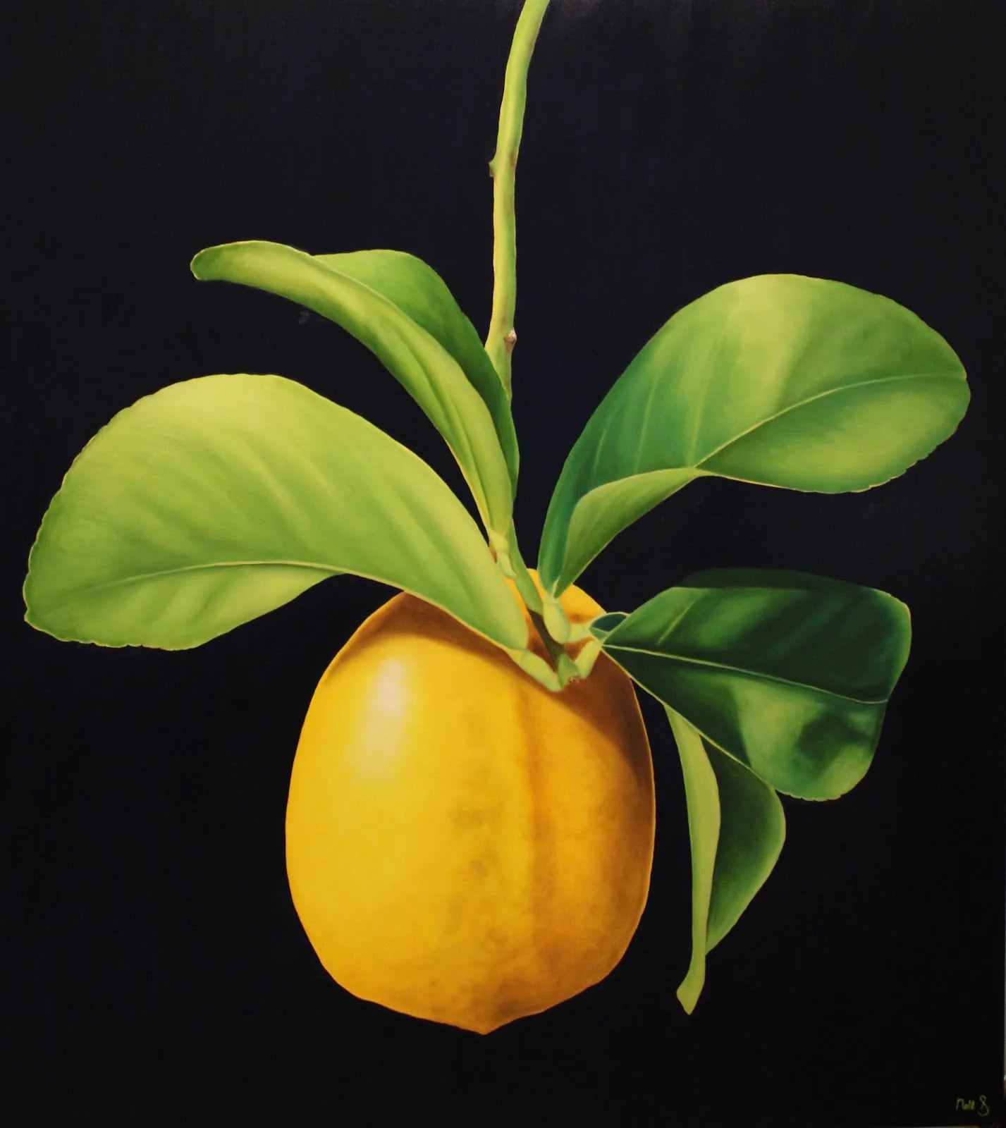 Nell Symonds - Chiara