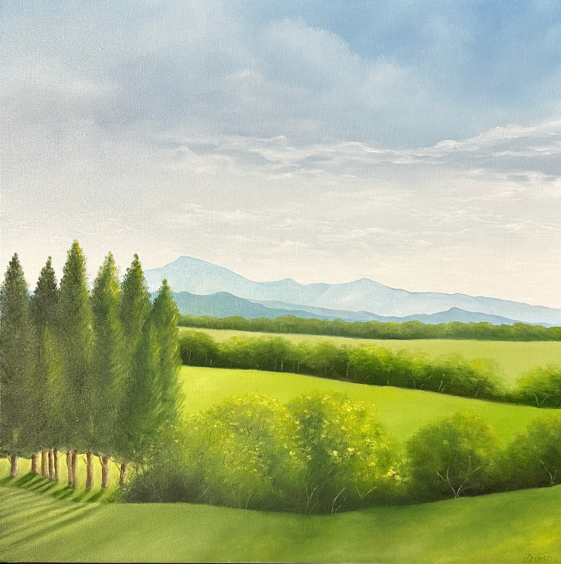 Di Crisp - Distant Mountains