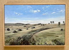 Nerida Woolley - Daygon’s paddock