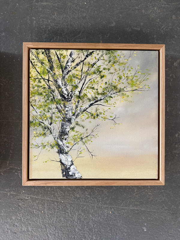 Kelly Kondis - Summer