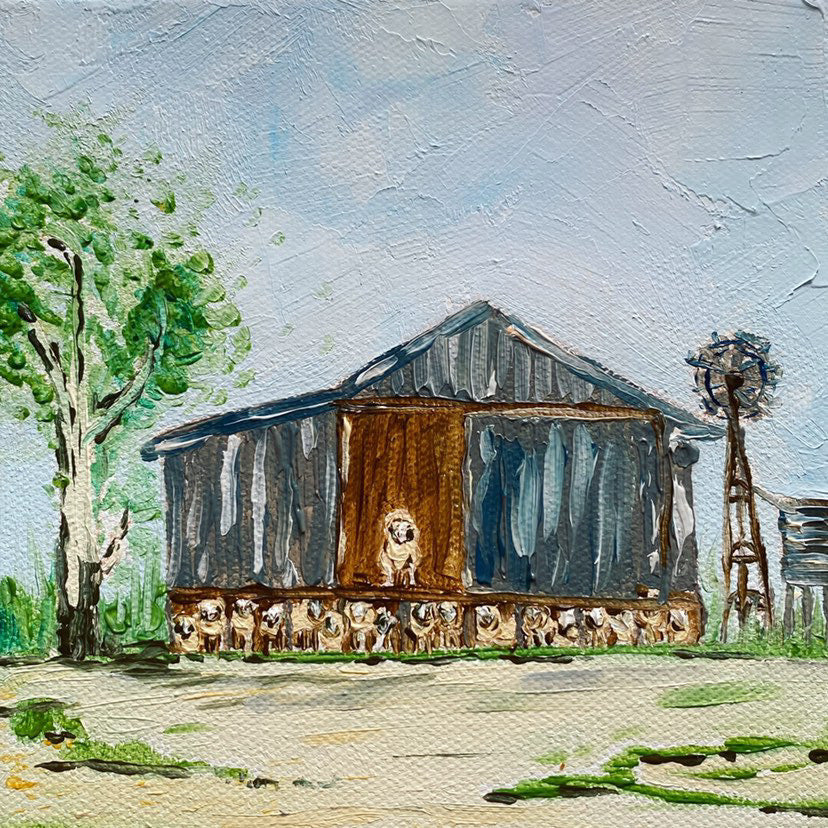 Gabrielle Lindenmayer - Shearing Shed