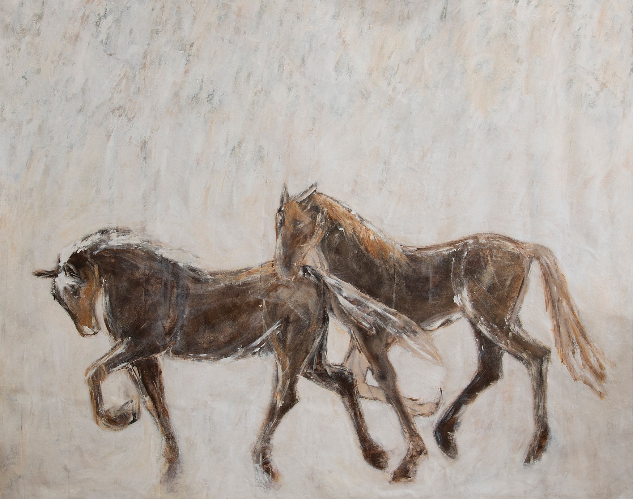 Ingrid Haughton - Brumbies