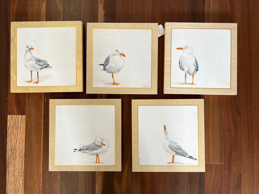 Shani White - Itty Bitty Birdy - Seagull #3