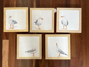 Shani White - Itty Bitty Birdy - Seagull #1