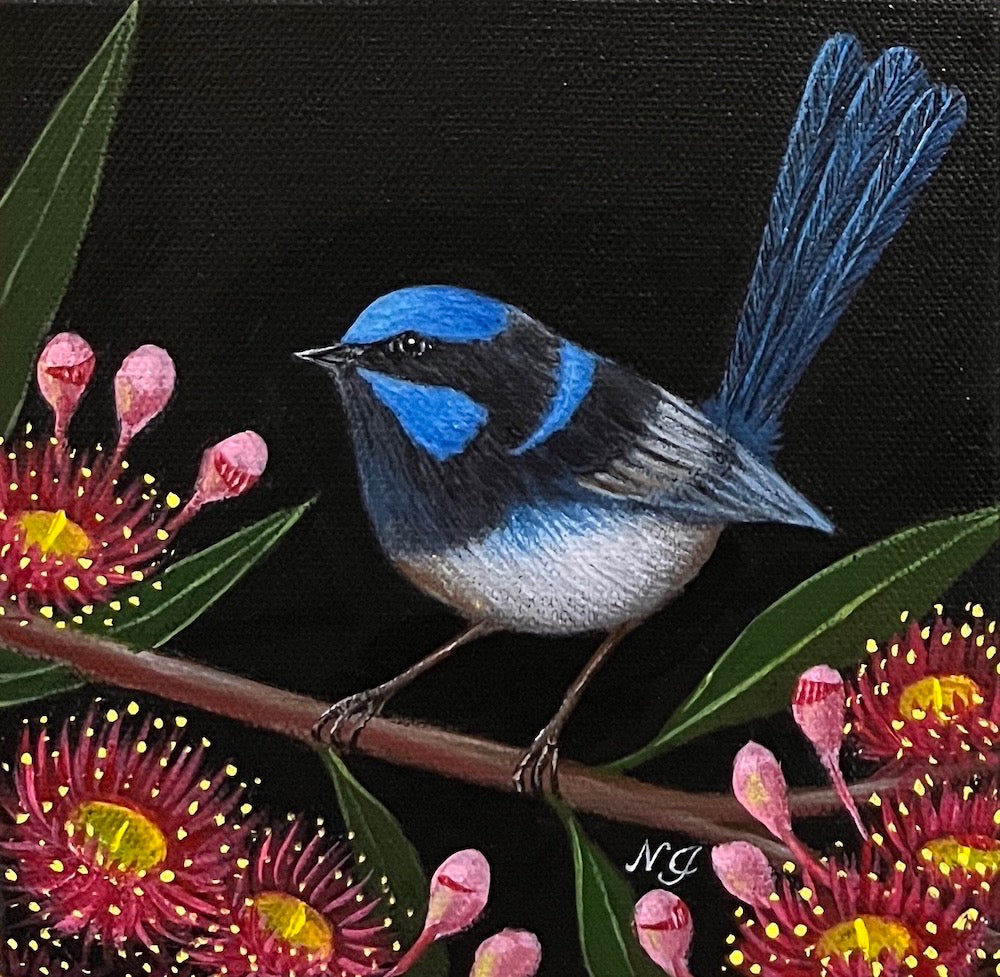 Natasha Junmanee - Superb fairy wren and gum flower