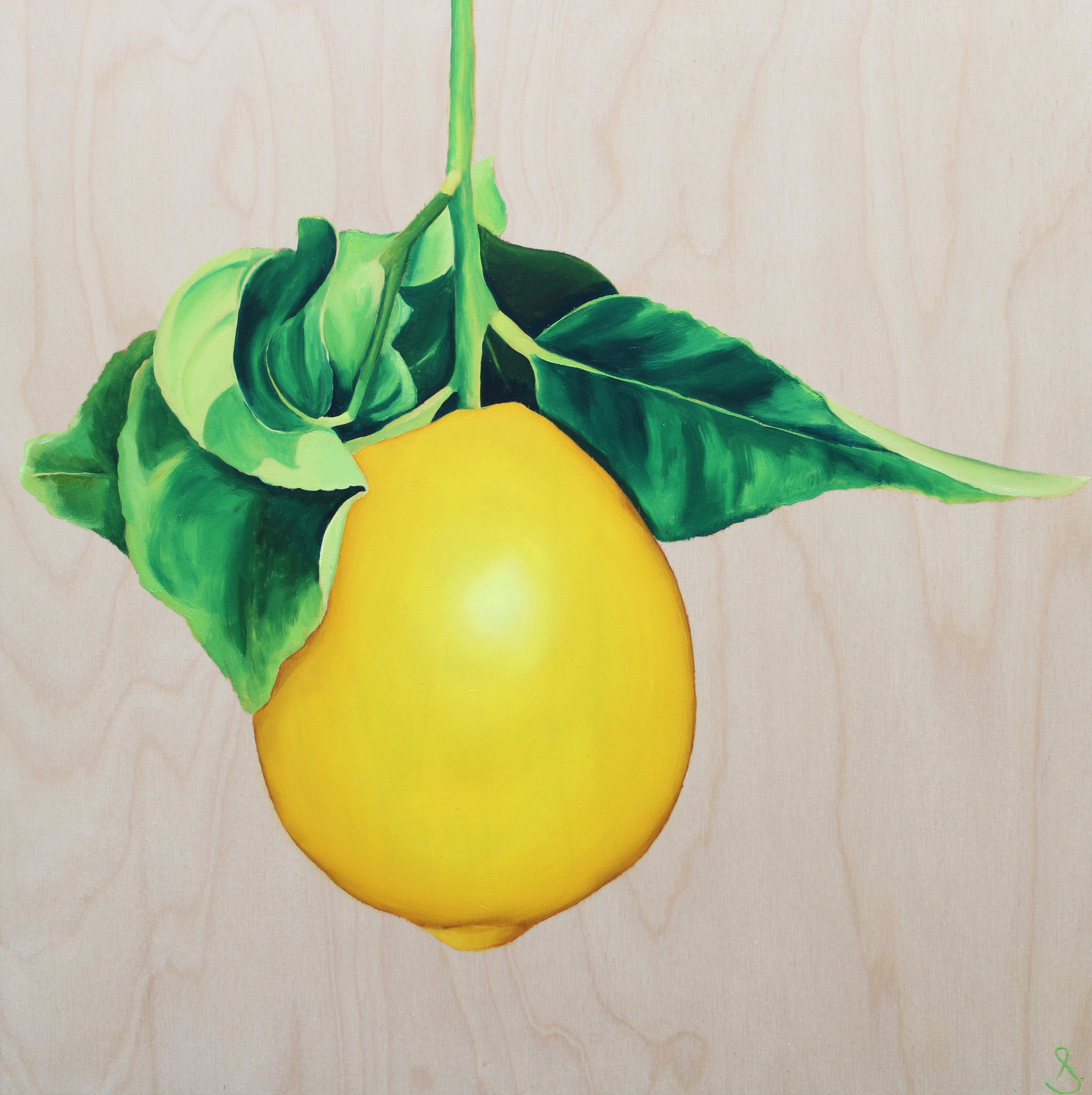 Nell Symonds - Alessa