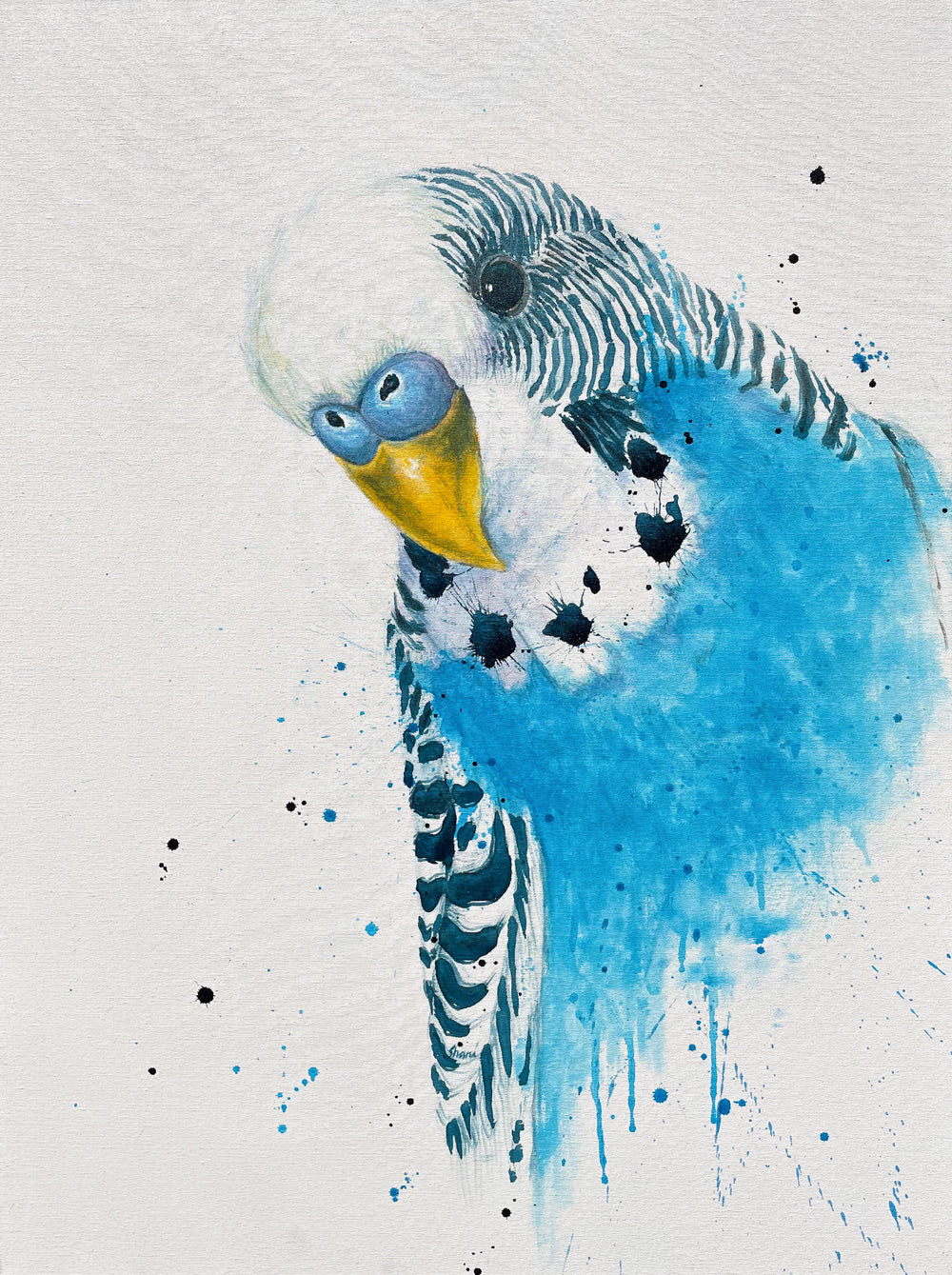 Shani White - Budgie Blue
