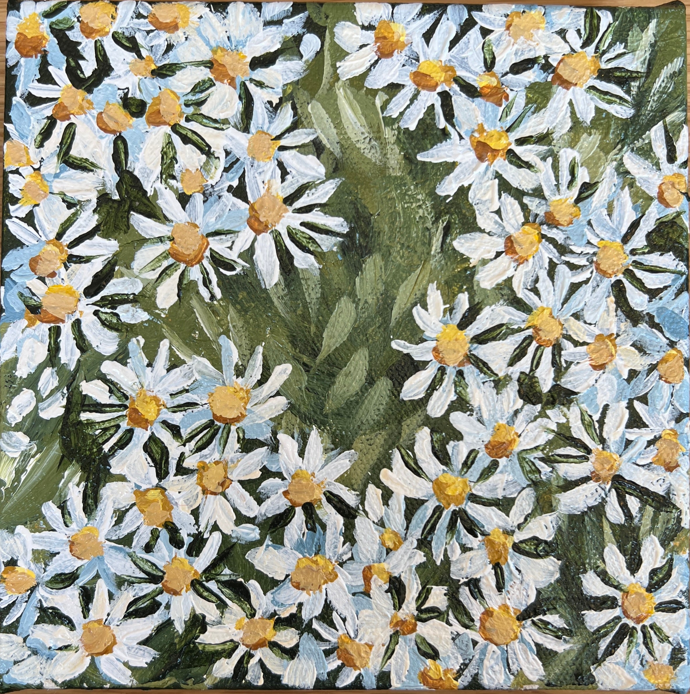 Georgie Elliott - Little Seascape Daisies 1