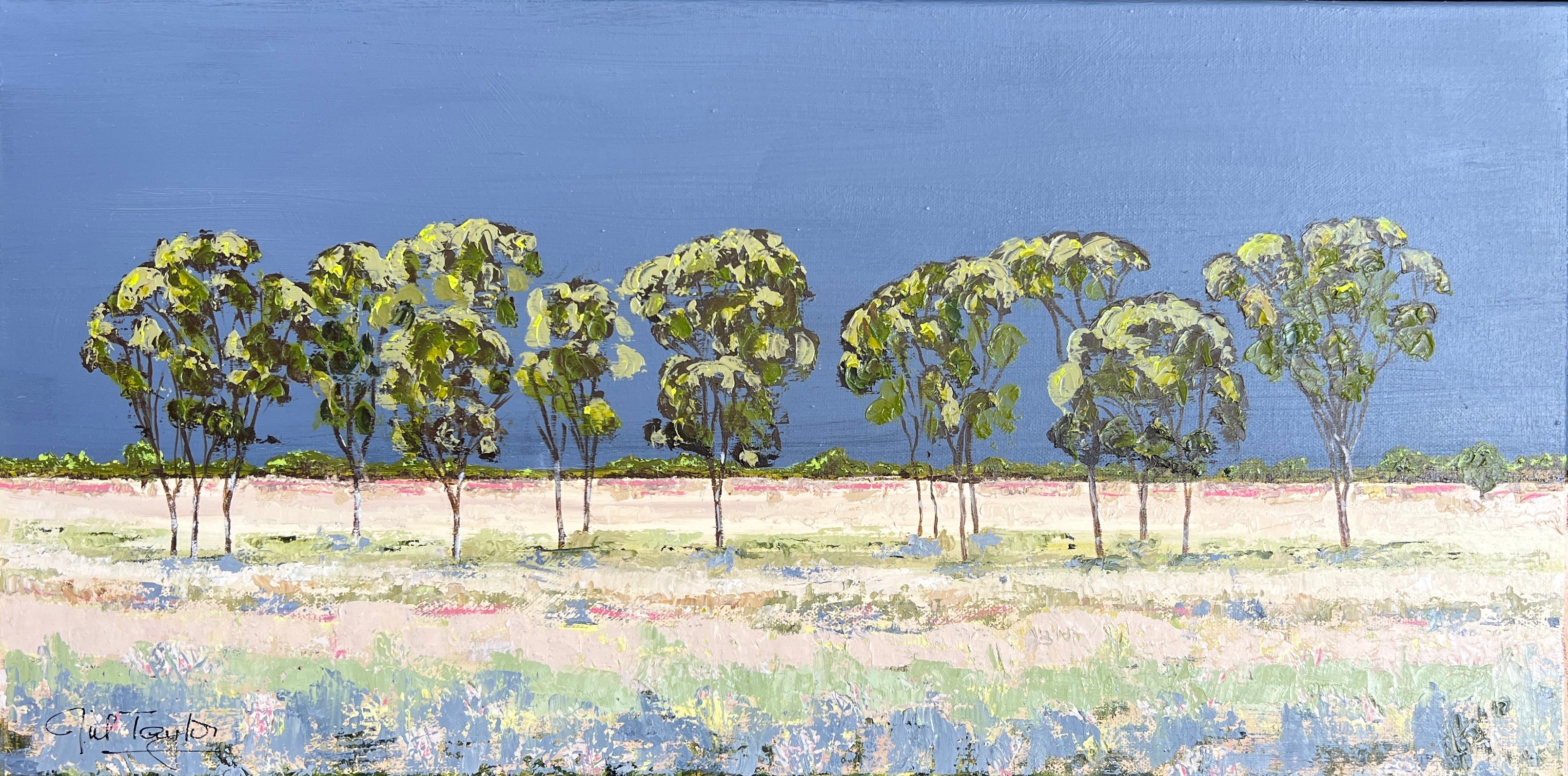 Jill Taylor - Storms rolling in