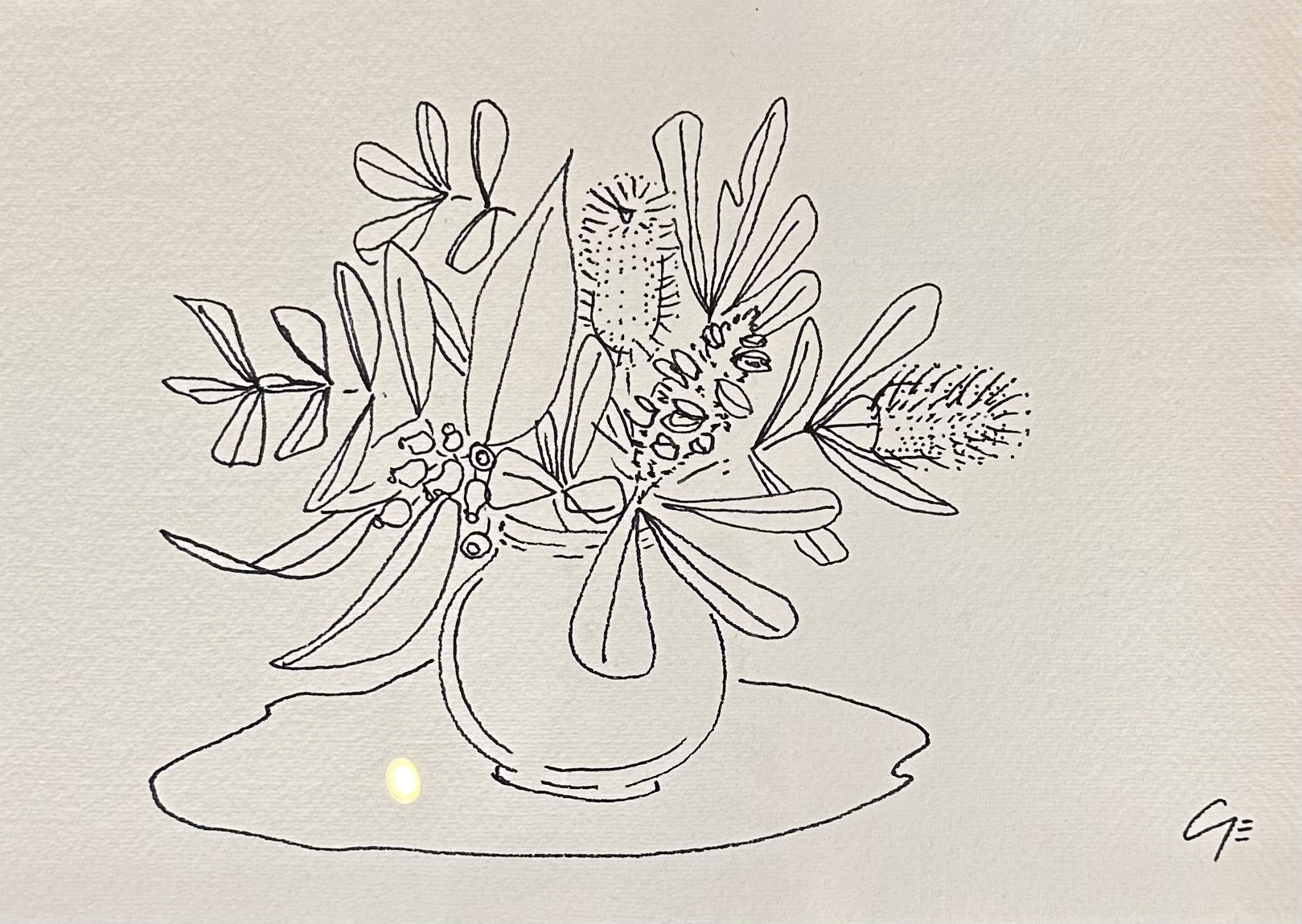 Georgie Elliott - Banksia 1