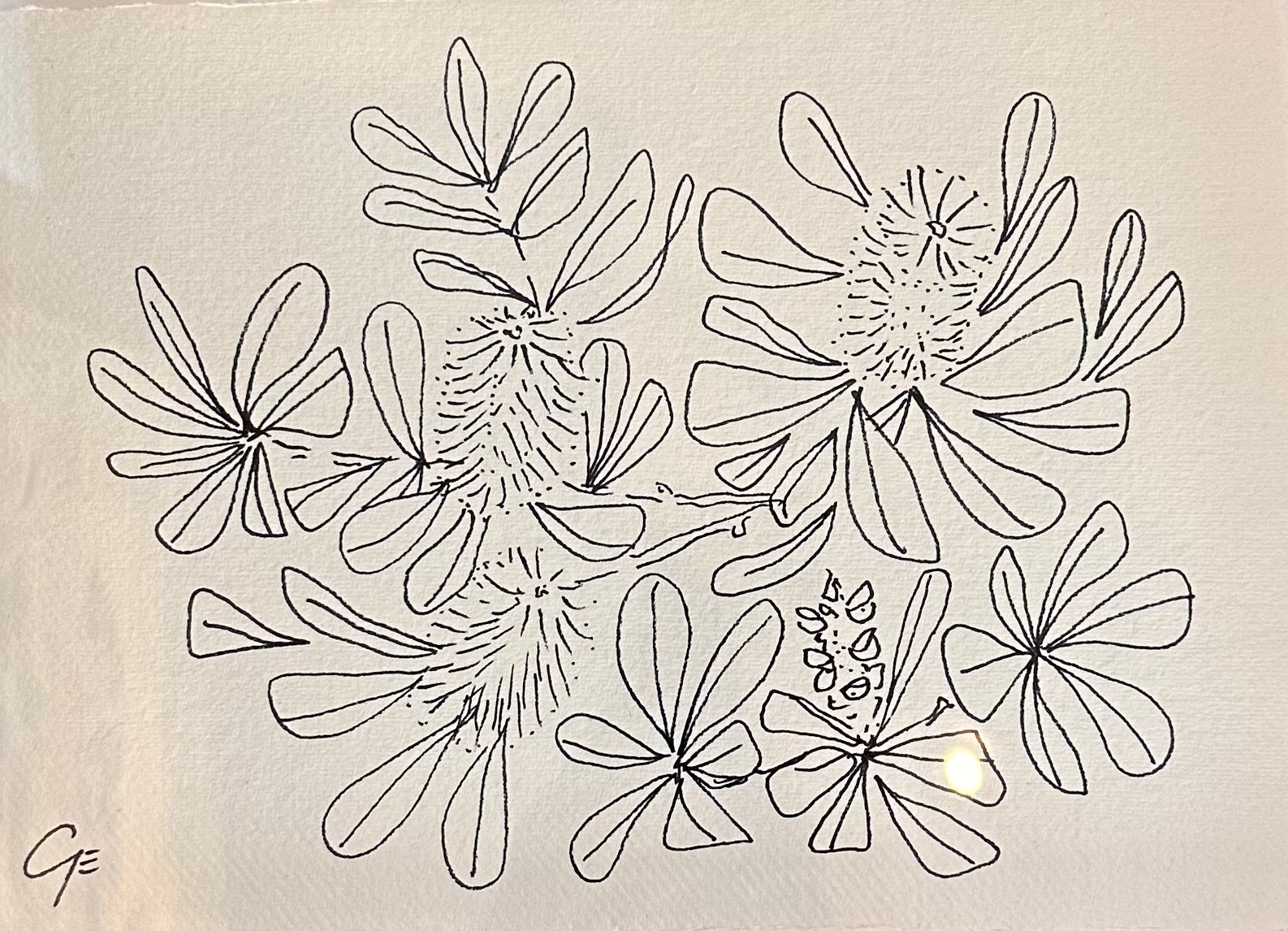 Georgie Elliott - Banksia in vase