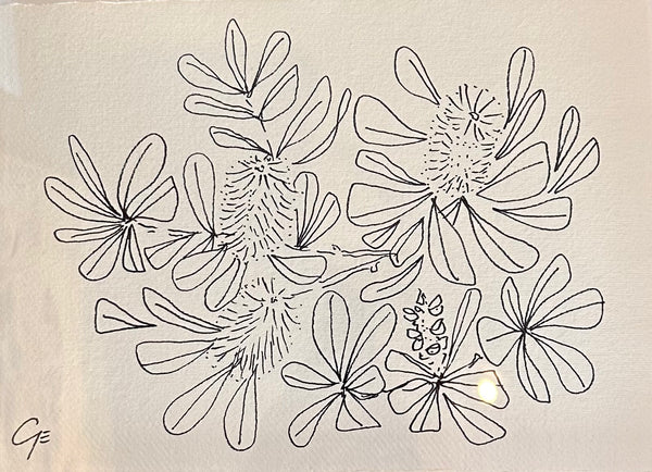 Georgie Elliott - Banksia in vase