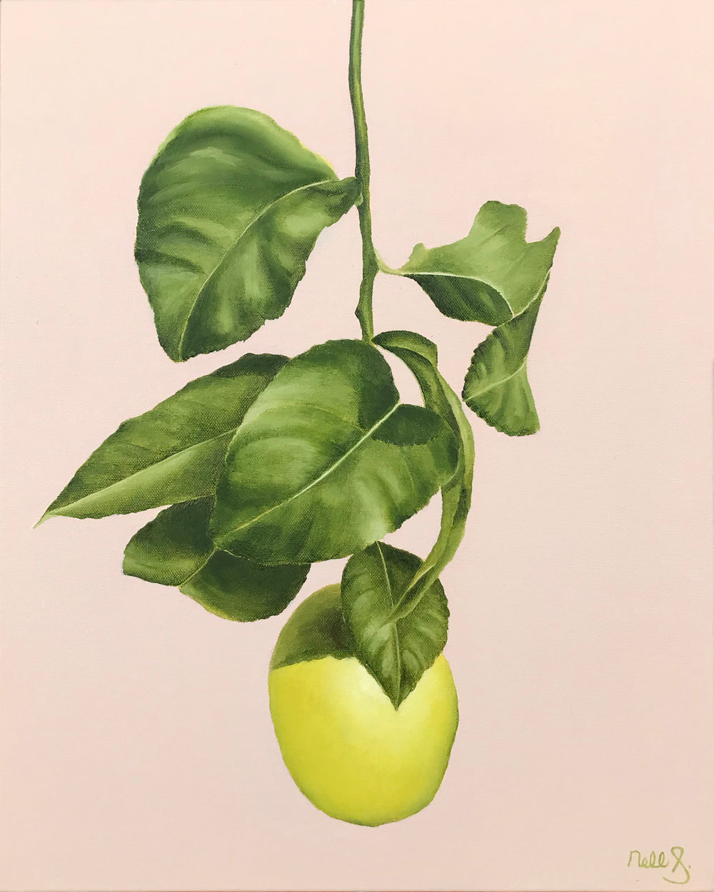 Nell Symonds - Lille