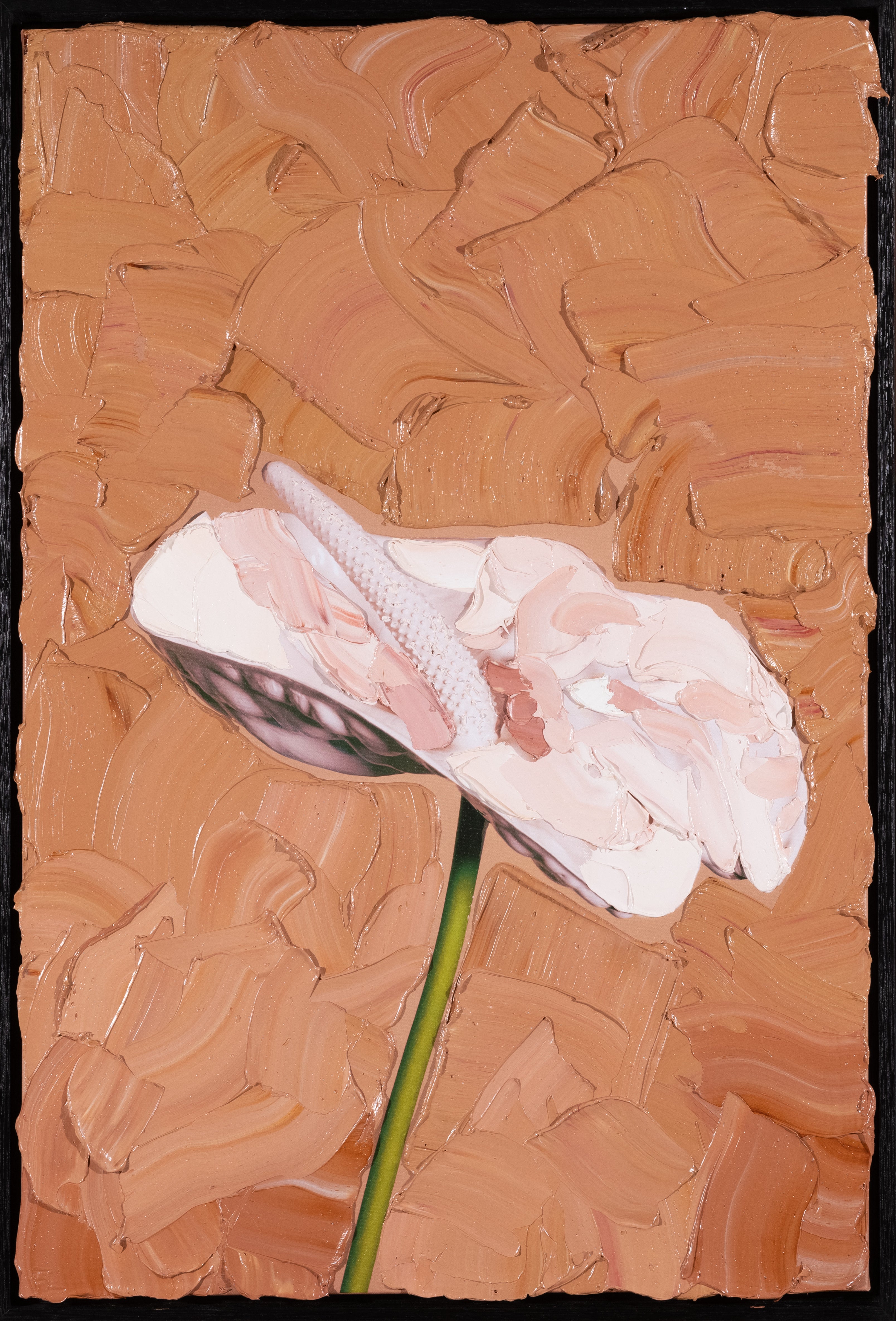 Felicity Lea - I'm imperfectly Perfect. Value $1400