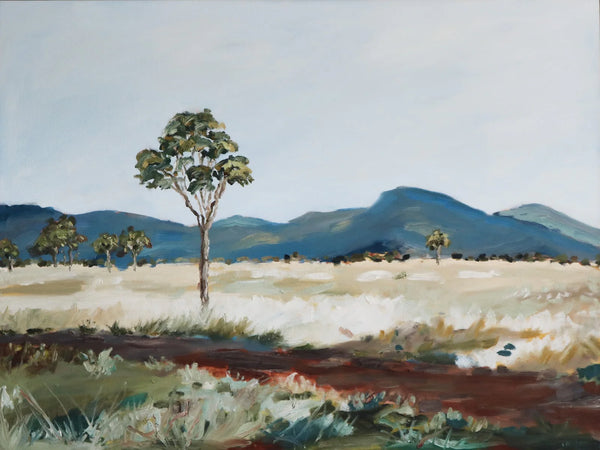 Jaimia Ollington - A colourful land