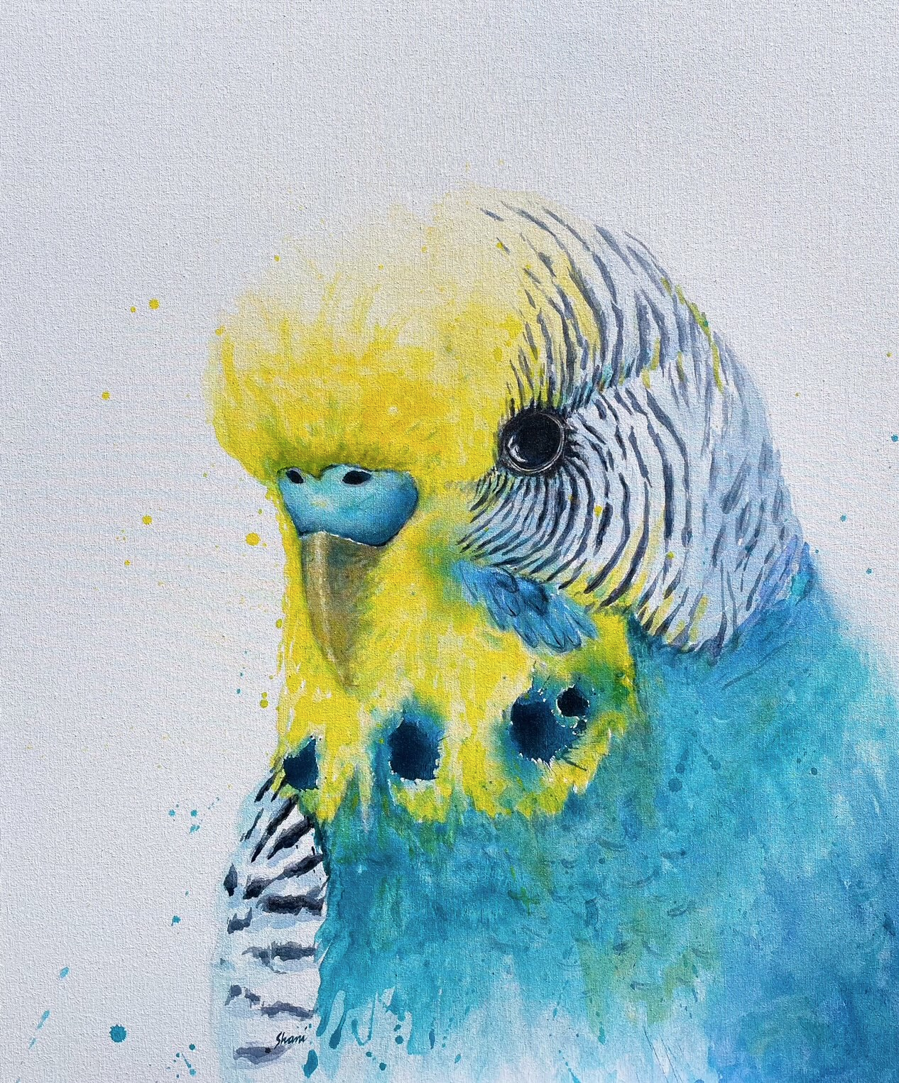 Shani White - Earn your stripes